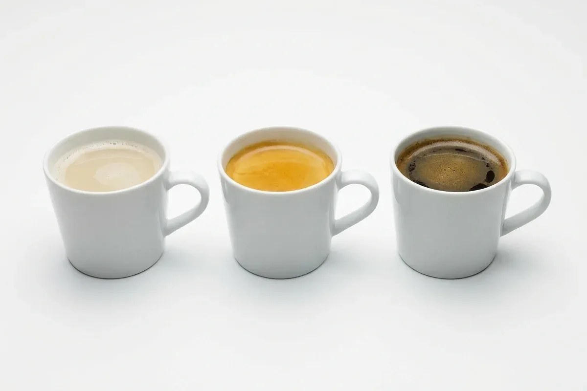 tazas comparadas — CAFESSIO