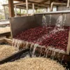 lavado tanque — CAFESSIO