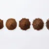 moliendas comparadas — CAFESSIO