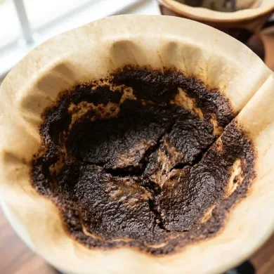 lecho canalizado — CAFESSIO
